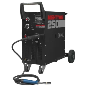Professional Gas/Gasless MIG Welder with Euro Torch 250A